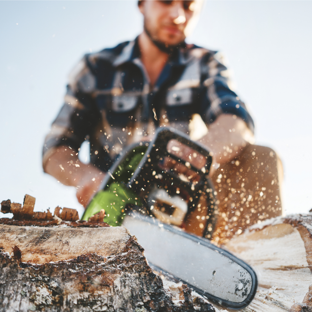 Phonak Serenity Choice™ Hearing Protection Plugs - Work